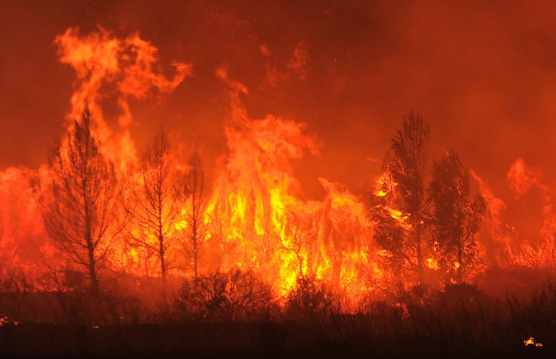 Los incendios forestales del Alt Emporda en Girona han arrasado 13000 hectareas y han dejado tres muertos entre ellos una menor