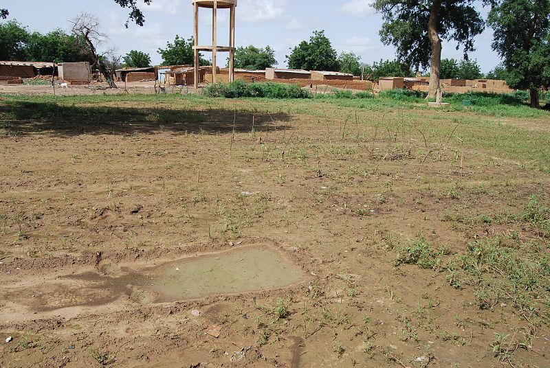 Este año, las lluvias han sido tan intensas en varias zonas que han provocado la pérdida de algunas cosechas, como en este campo de Yaali.