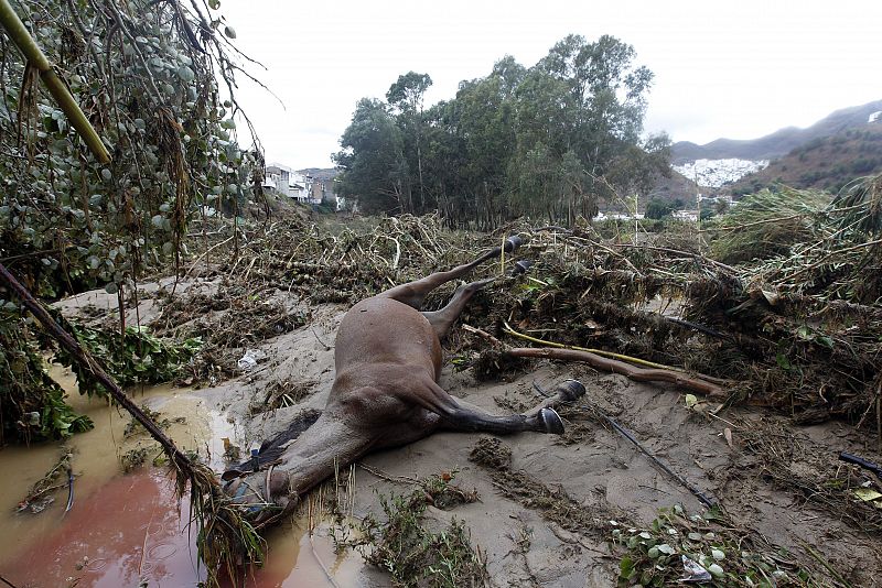 INUNDACIONES EN MÁLAGA