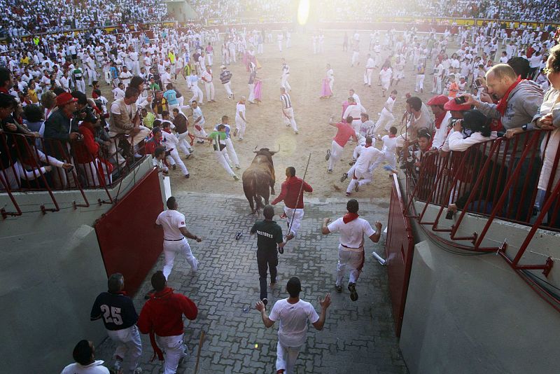 Runners lead an Alcurrucen fighting bull into the bull ring during San Fermin festival in Pamplona