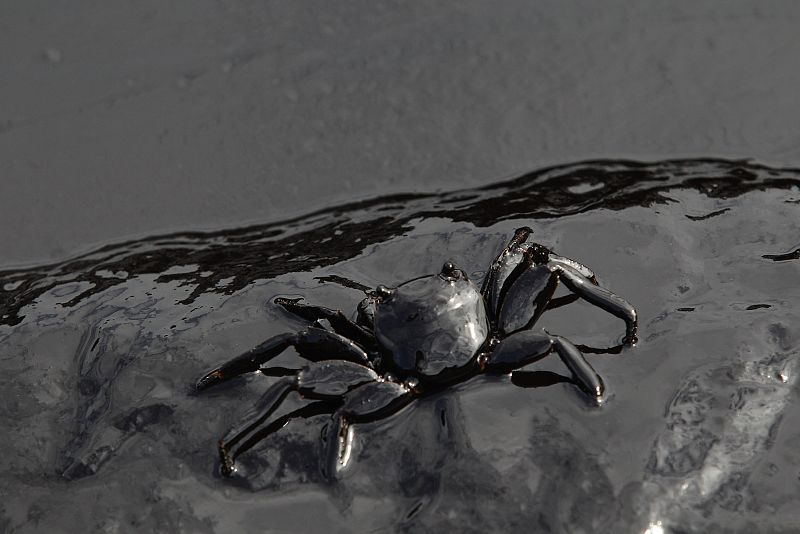 El petróleo que se escapó de una tubería de Global Chemical Pcl en el Golfo de Tailandia durante el fin de semana ha alcanzado las playas de los resorts turísticos.