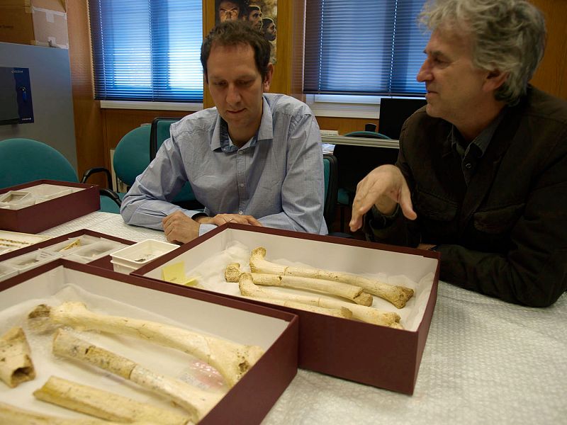 Matthias Meyer y Juan Luis Arsuaga comentando las características únicas de los fósiles de diferentes homininos de la Sima de los Huesos.
