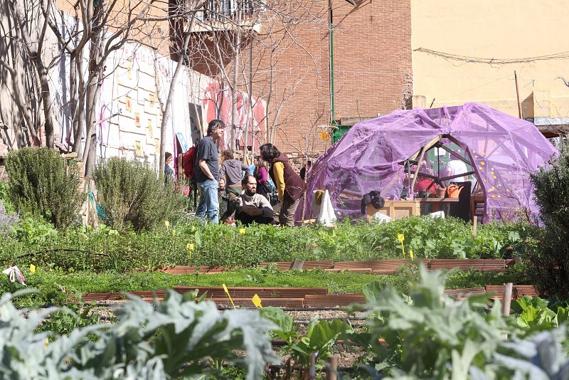 Xosé y otros vecinos conversan en una mañana soleada mientras cuidan del huerto de 'Esta es una plaza' en Madrid