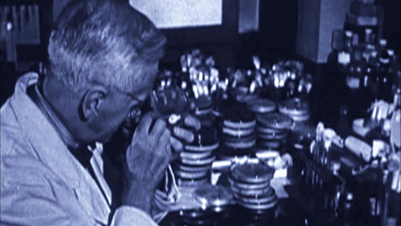 Fleming, el primero en observar los efectos antibióticos de la penicilina.