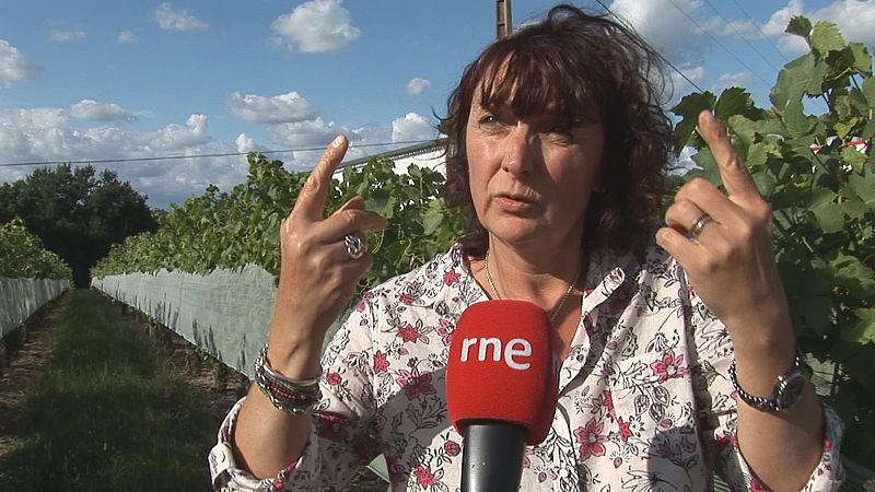 Martine Damiani nos lleva de paseo por la viña donde producen la dulcísima variedad de uva chasselas, en las inmediaciones de Moissac