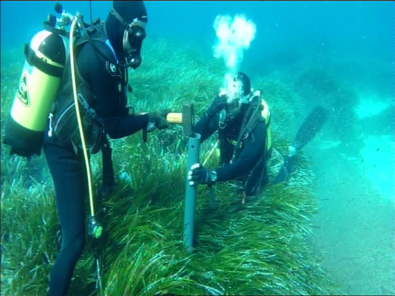 El estudio de los sedimentos de Posidonia permite retroceder miles de años.