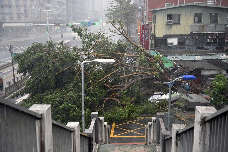 Vientos de hasta 250 km/h han derribado varios árboles en Taiwán tras el paso del tifón Soudelor.