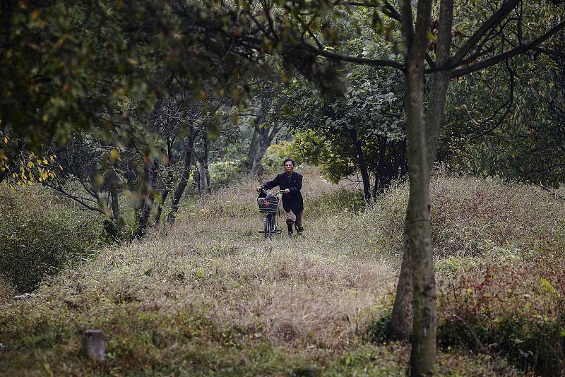 Un hombre empuja una bicicleta en las afueras de Pyongyang