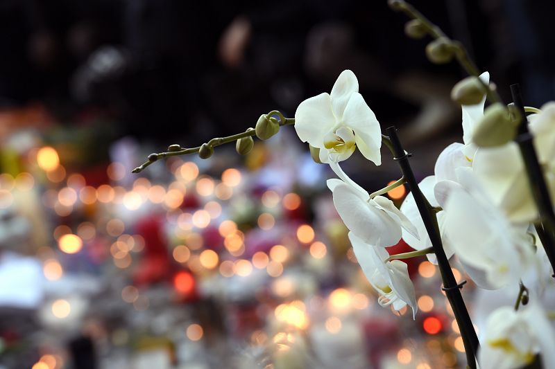 Una orquídea en medio del memorial instalado junto al cordón policial en la sala Bataclan