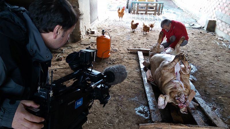 Cada vez hay menos matanza del cerdo doméstica en Villafáfila