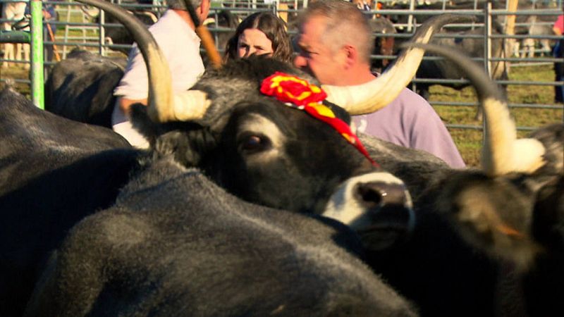 Cabaña de Rocío Bustara en la feria de Ibio, Cantabria.