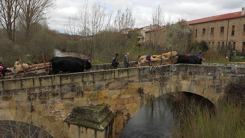 La Cabaña Real de Carreteros camino de Burgos