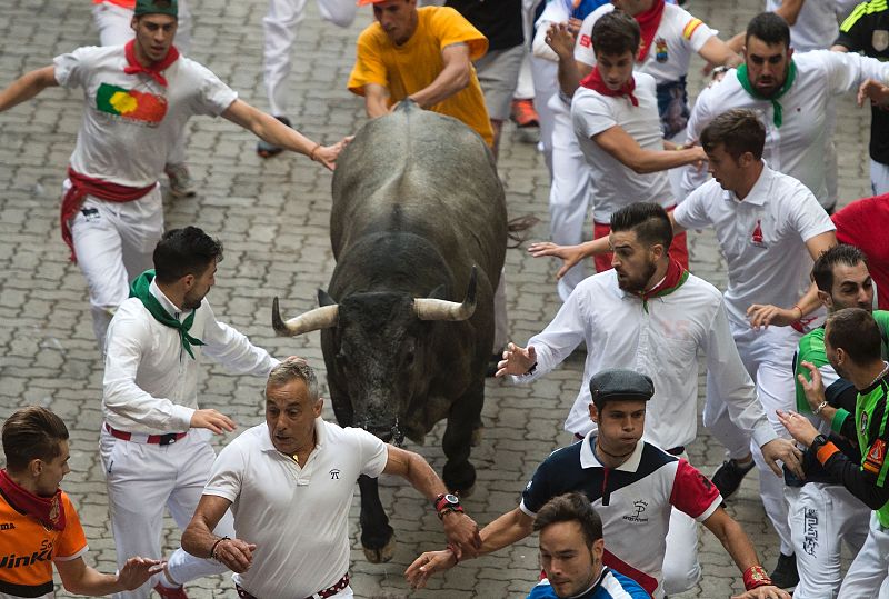 La ganadería abulense de Lanzahíta participa por segundo año consecutivo en los encierros de San Fermín.