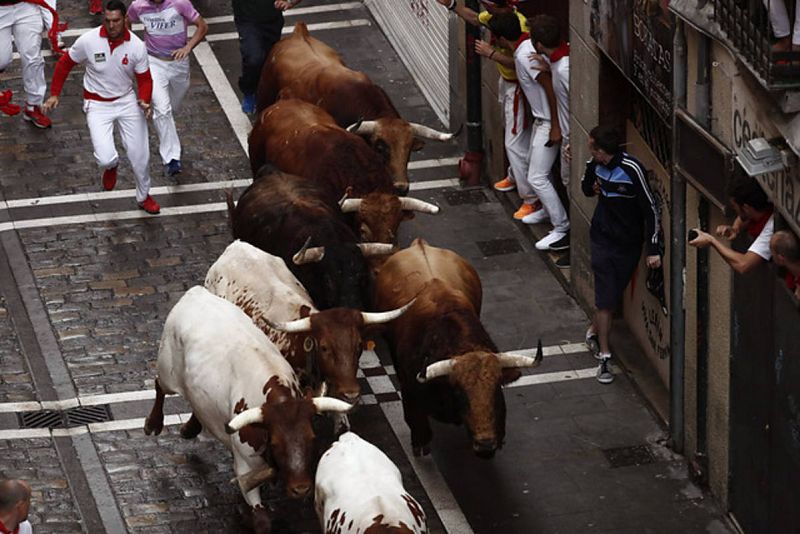 La manada de la ganadería de Pedraza de Yeltes, en sus primeros sanfermines