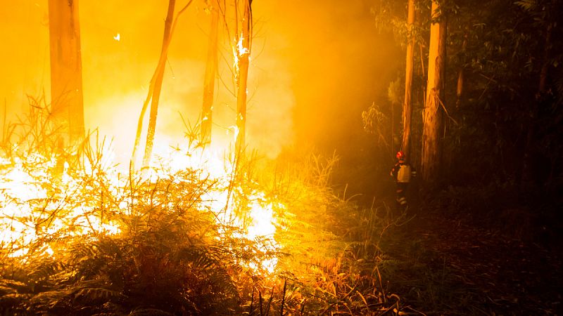 Operarios de Protección Civil de Vilagarcía luchan contra el incendio forestal declarado en Pontevedra