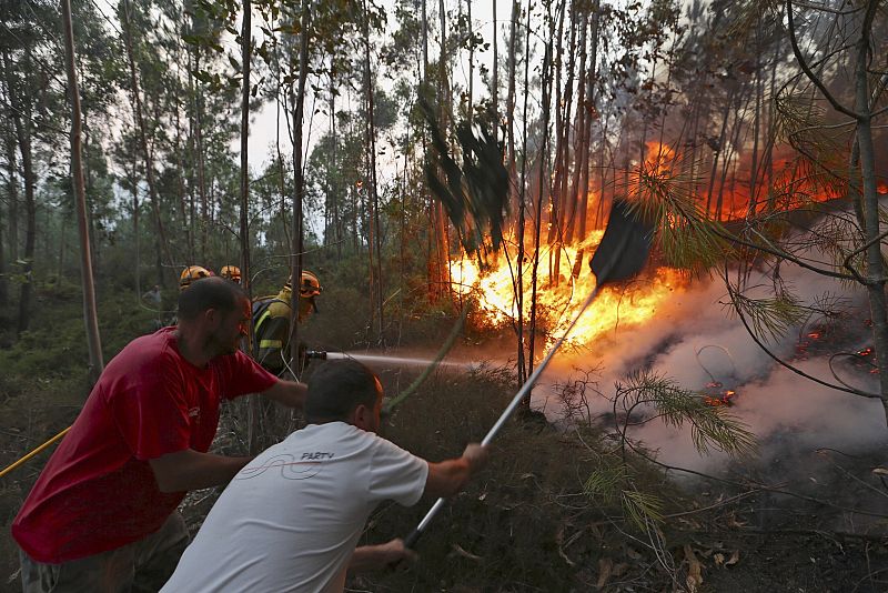 Estos 15 incendios han calcinado unas 5.570 hectáreas