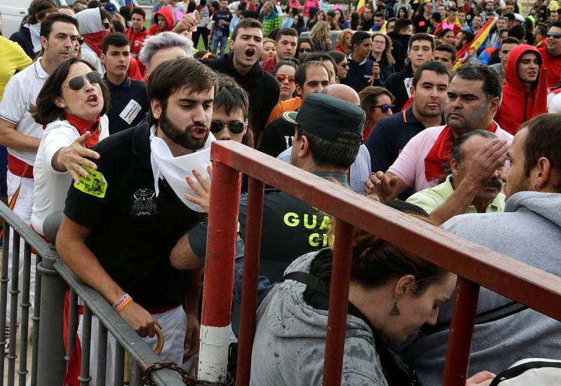 Revellers scuffle with animal rights activists before the start of the Toro de la Pena festival, formerly known as Toro de la Vega, in Tordesillas