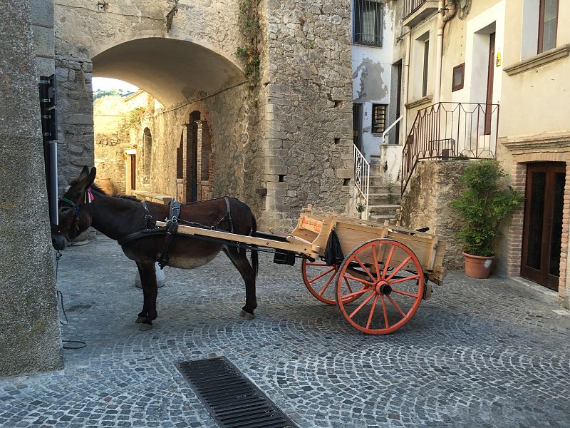 Burro y carro, encargados de recoger la basura