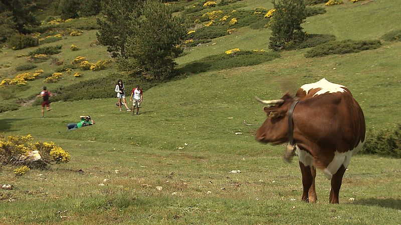 Escena en la sierra