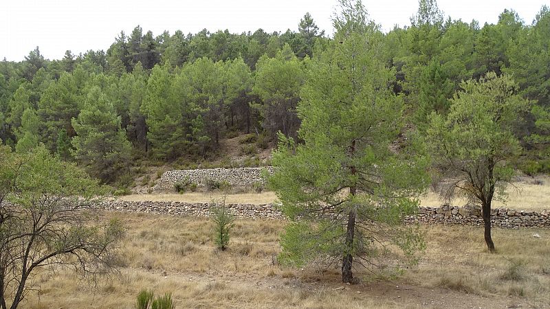 Terrazas abandonadas