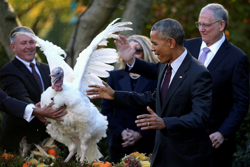 Obama indulta a su último pavo