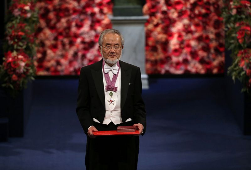 Entrega de los Premios Nobel 2016