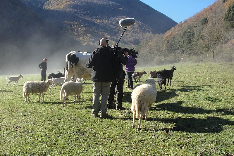 Entre animales en Gaia