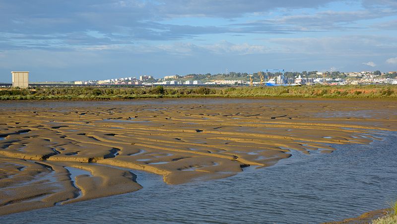 El amanecer en las marismas: Proyecto europeo 'Coro del amanecer'