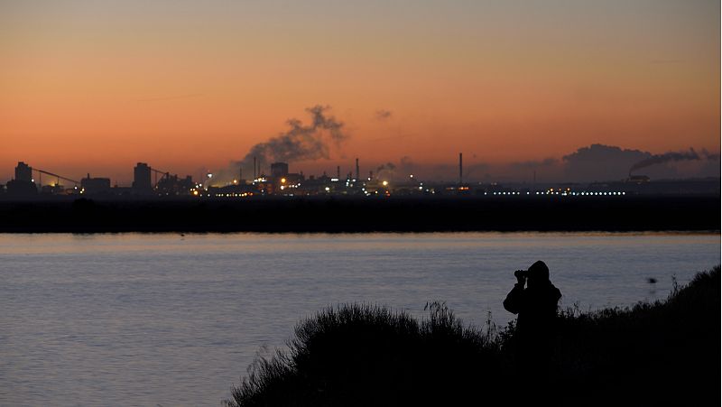 El amanecer en las marismas: Proyecto europeo 'Coro del amanecer'