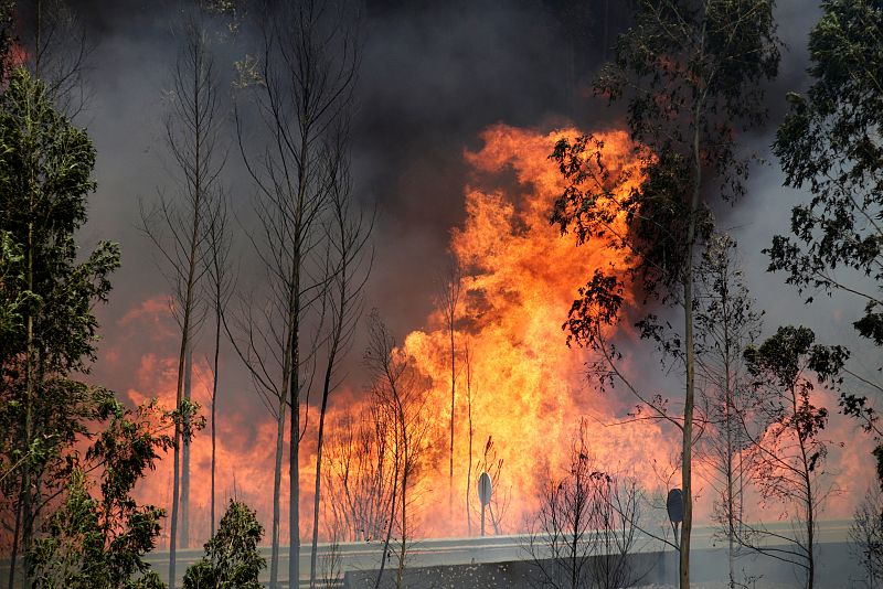 Un gran incendio asola el centro de Portugal