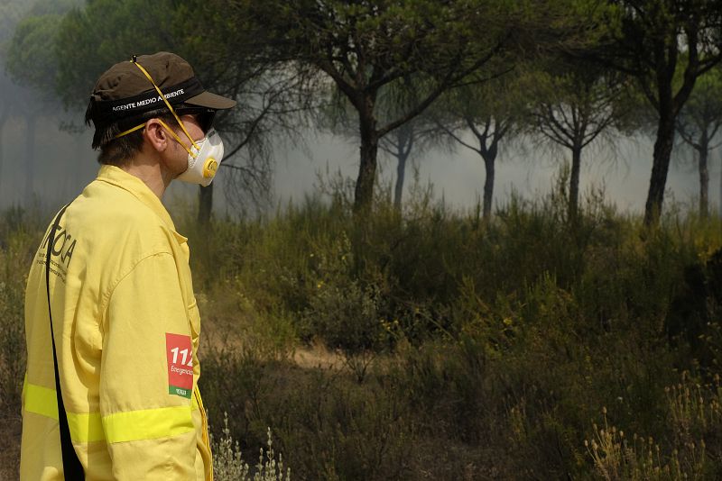 Más de 260 efectivos por tierra, del Infoca y de la Unidad Militar de Emergencias (UME), con más de dos decenas de vehículos terrestres, y 21 medios aéreos, trabajan en la extinción.