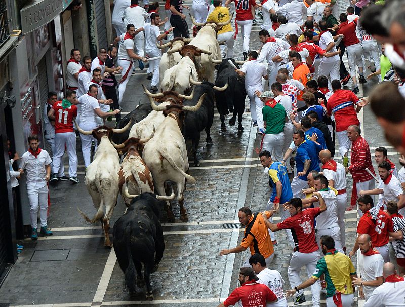 Los toros de Puerto de San Lorenzo, salvo el adelantado que ha llegado a la plaza con más de 10 segundos de ventaja, han corrido todo el encierro muy hermanados y guiados por los cabestros