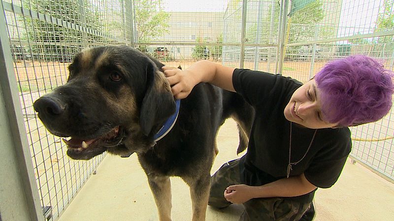 Claudia en la Asociación Abrazo Animal