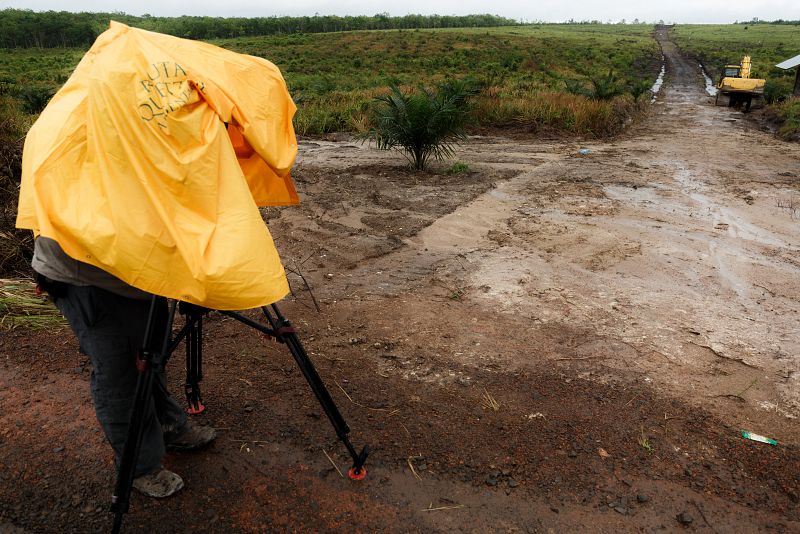 Campo deforestado listo para su explotación