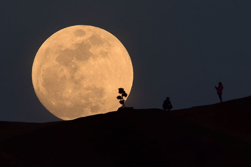 Una persona posa junto a la Luna llena en Griffith Park, en la ciudad estadounidense de Los Angeles.