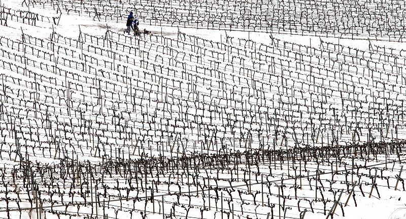 La Rioja mantiene la alerta naranja por nieve y bajas temperaturas