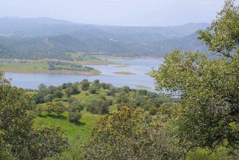 Una de las fincas donde se suelta el lince