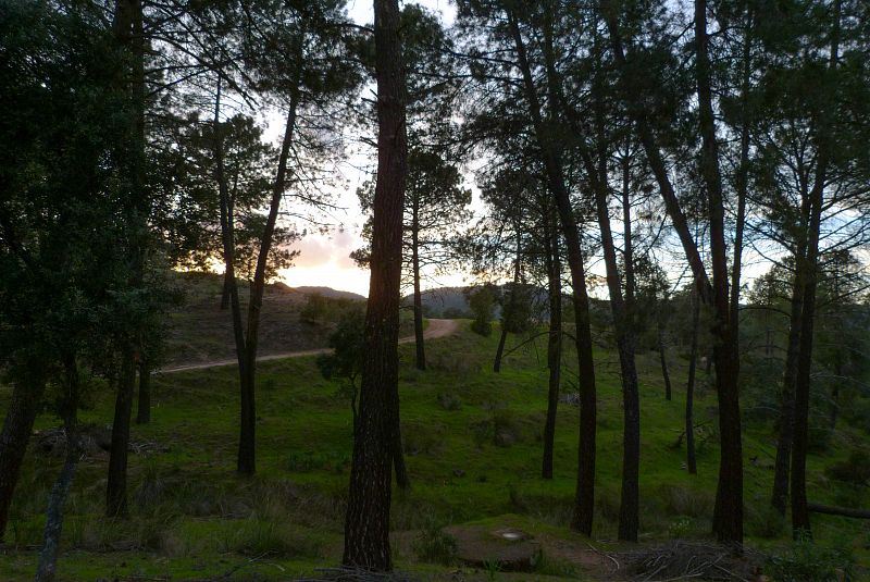 La sierra de Cardeña