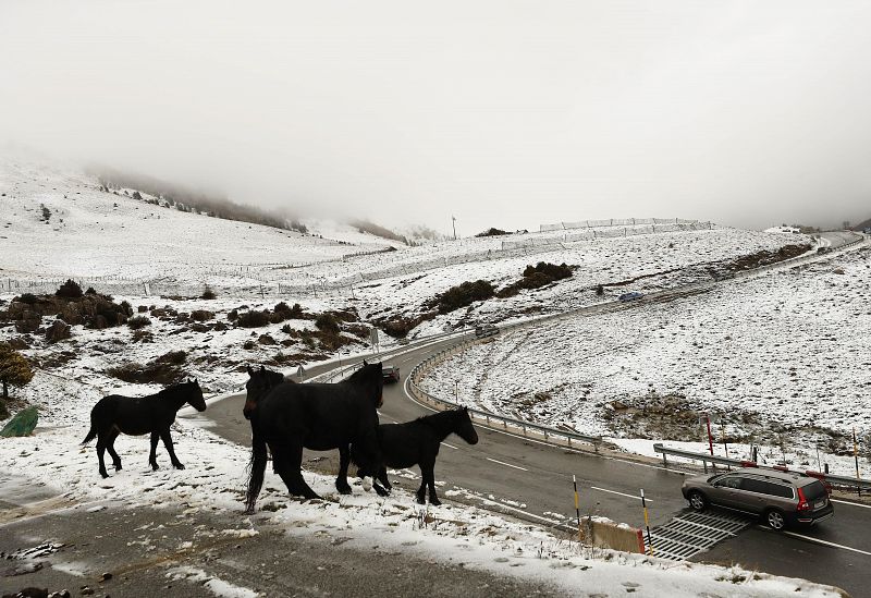 Varios coches circulan por la NA-137 desde el valle de Belagoa donde la nieve caída esta madrugada permanece en las cotas mas altas del pirineo navarro