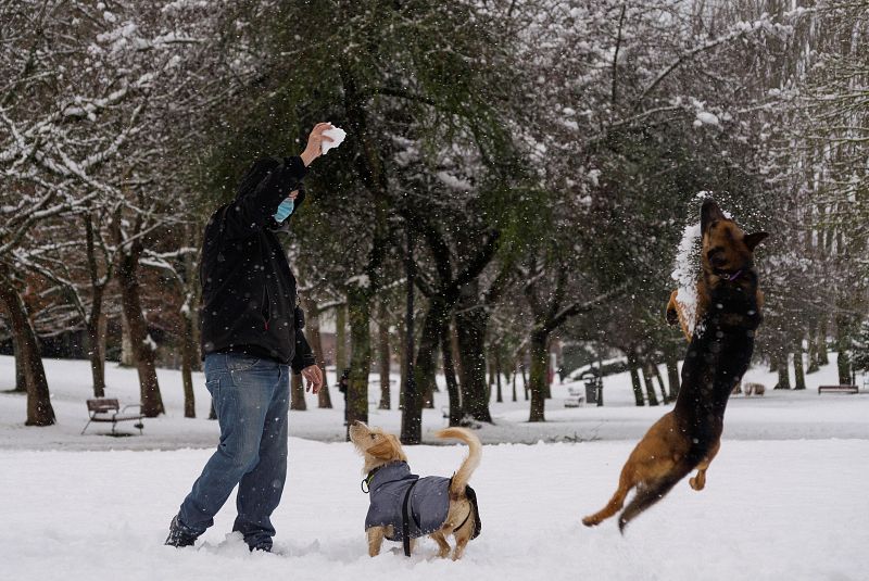 Un hombre y sus perros juegan con la nieve en un parque en Vitoria este sábado. La ciudad amaneció cubierta de nieve por el temporal de frio que azota el norte de la península.