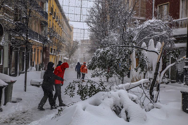 Varias ramas de árboles partidas por el peso de la nieve en la calle Santiago en Madrid.