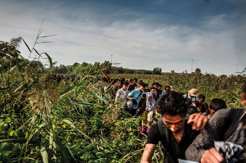 Un grupo de personas caminan entre la maleza cerca de la frontera de Hungría con Serbia