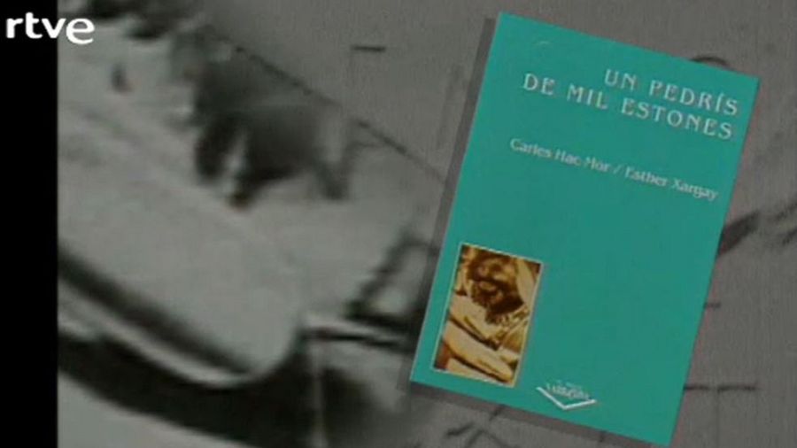 Un pedrís de mil estones, ressenya a Literal