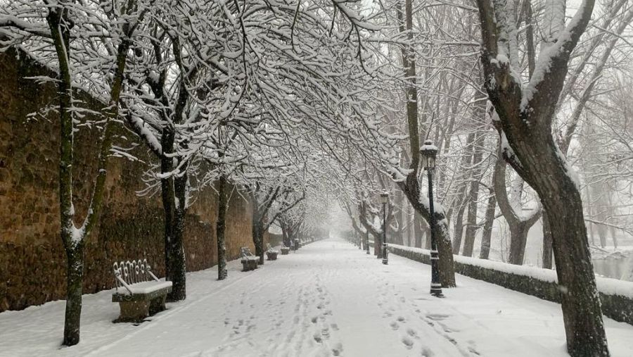Un parque de Soria tras la nevada
