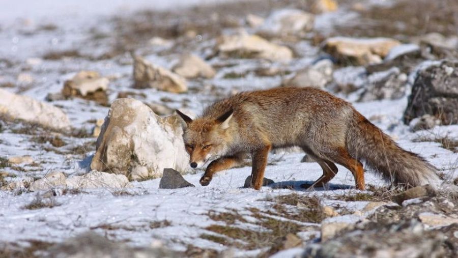 'Guadalquivir', narrado por Estrella Morente