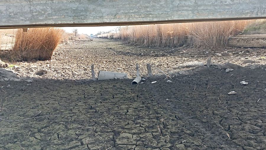 La sequía afecta a humedales como Els Estanys, en Girona