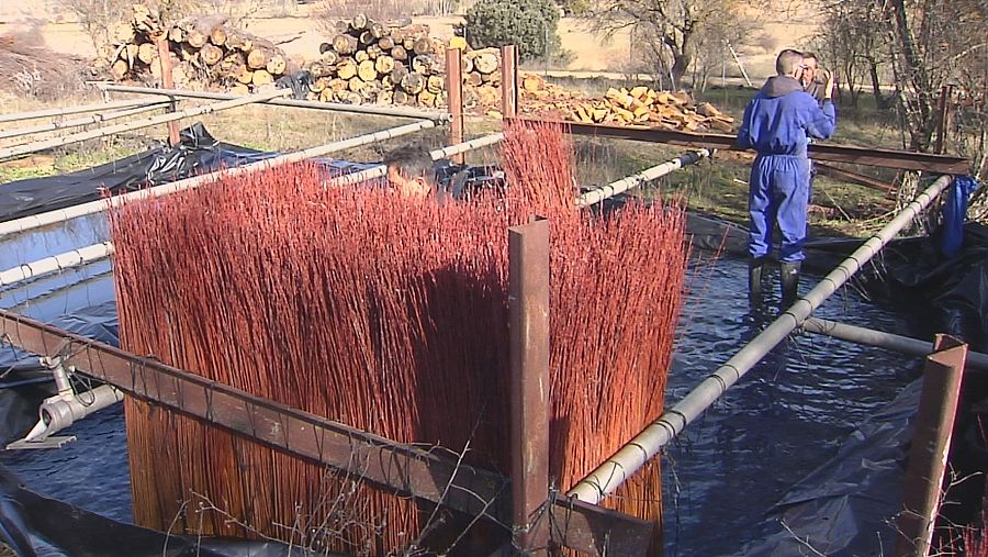 Proceso de empozado del mimbre