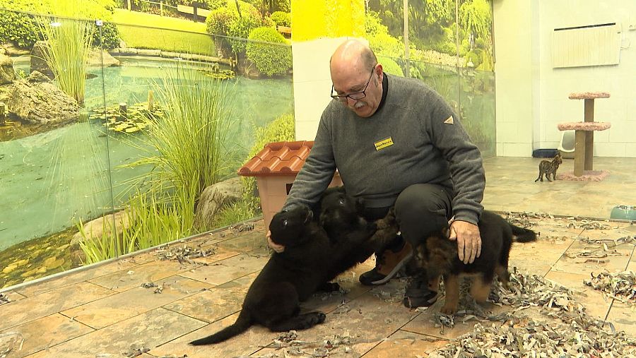Alejandro Serrat hace 30 años que vende los perros que cría en su tienda AquaNatura de Barcelona