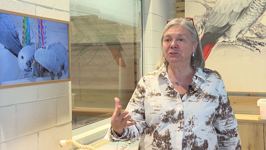 Teresa Masuet es gerente de Psittacus Catalonia