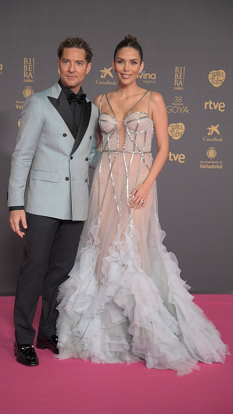 Premios Goya 2024: David Bisbal y Rosanna Zanetti